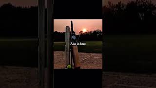 Light. Waight. Baby Yaaa Woool