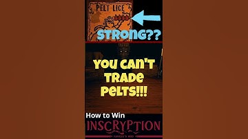 【Inscryption】Pelt Lice is Strong Card?? | How to Win Kaycee