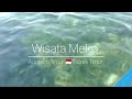 Meko/Adonara/Flores Timur/NTT🇲🇨