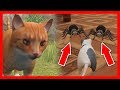 СИМУЛЯТОР МЫШИ #36 ОХОТИТСЯ ПАУК выполняем ЗАДАНИЯ в Mouse Simulator