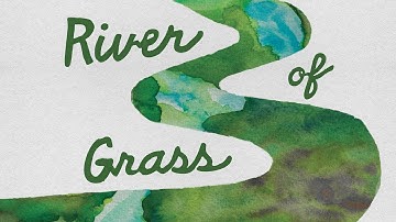 RIVER OF GRASS – A Story of Land, Resistance, and Resilience: A New Documentary from Sasha Wortzel