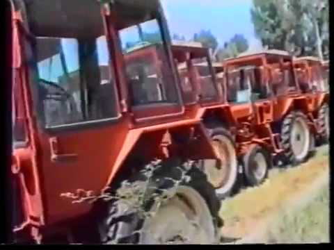 ივანიშვილის საჩუქარი მხედრიონს.08.1992.