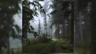 KLYN [ULTRA SLOWED + REVERB)