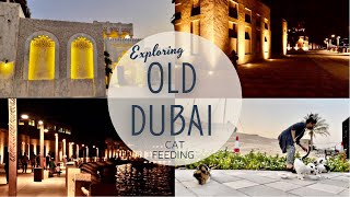 OLD DUBAI | BEST PLACE TO VISIT | Full Walk + Cat feeding | OFW Dubai Life