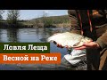 Ловля леща фидером на реке весной. Северский донец