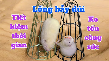 Báo giá 2 mẫu lồng bẫy dúi đá ,dúi đất cực nhậy - lồng bẫy dúi chống rỉ - bẫy dúi dưới mọi địa hình