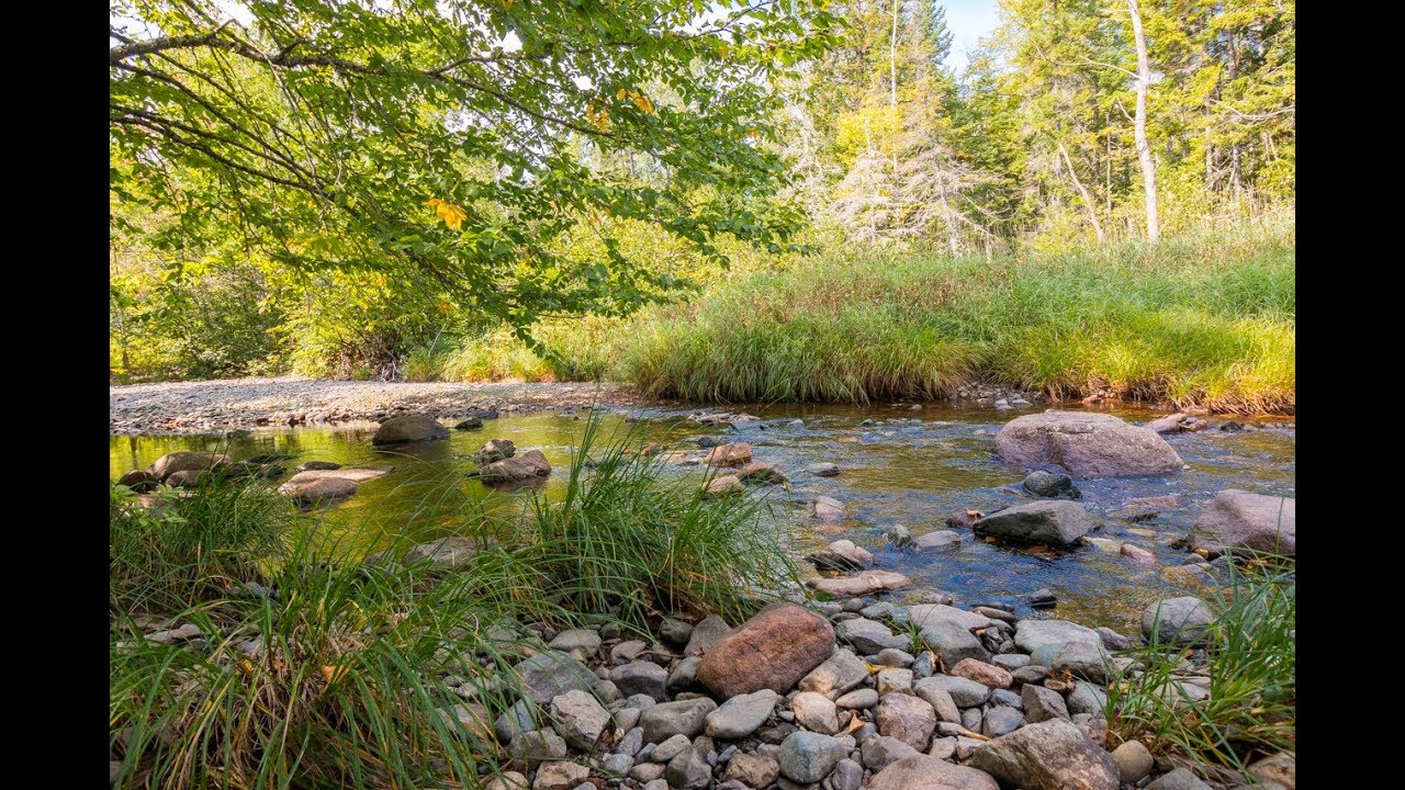 SOLD 421 Woolastook Drive Grand Bay Westfield Video Tour by Shawn