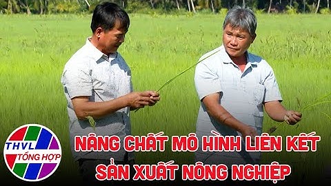 Nông nghiệp bền vững: Nâng chất mô hình liên kết sản xuất nông nghiệp