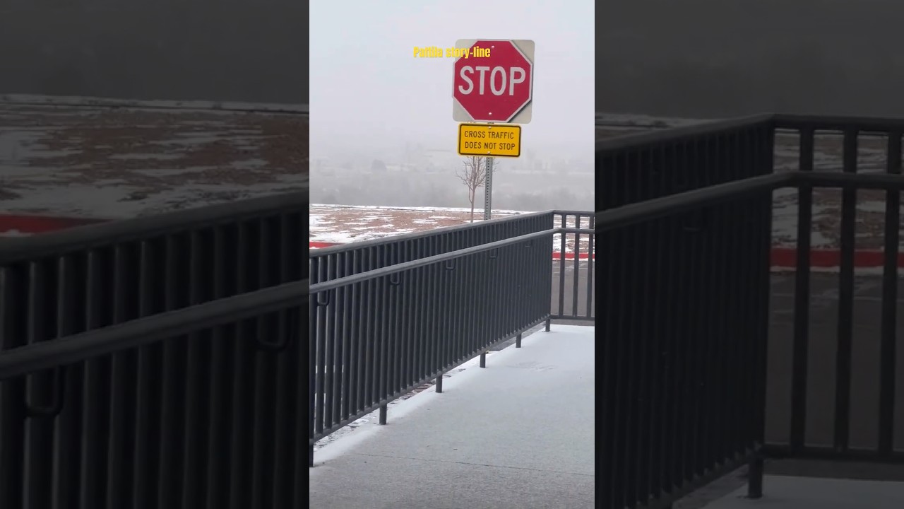 Вид из моего отдела в Walmart 