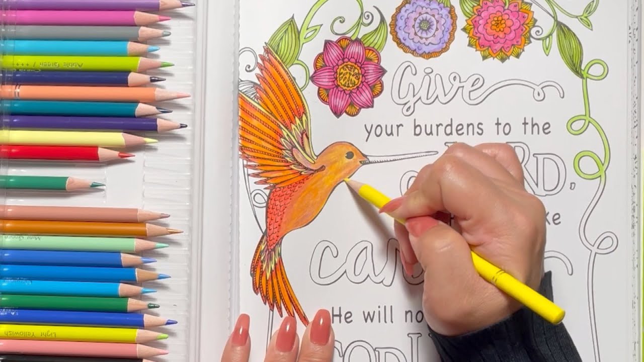 【ASMR】 1hour 🎨 Coloring with colored pencils | 色鉛筆でぬりえ | 用彩色铅笔涂色 | No talking