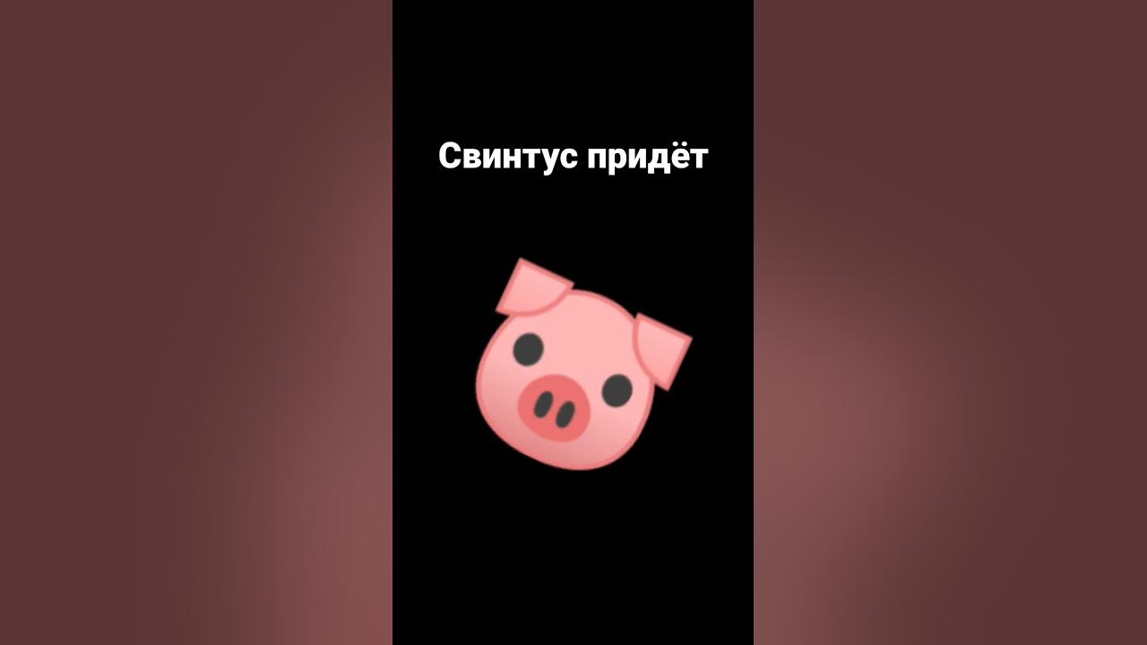 свинтус придёт 🐷 - YouTube