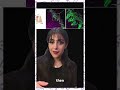 Lab Notes - Faranak Zolfagharlookoohi