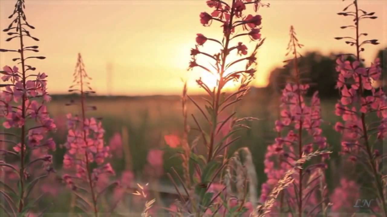 Эдвард Григ Песня Сольвейг Edvard Grieg Solveig's Song - YouTube