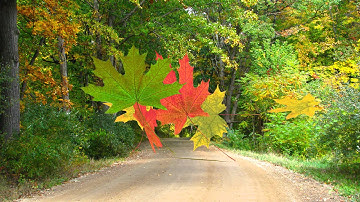 5 FALL TRANSITIONS for Proshow Producer from http://www.outsidetheboxstyles.com