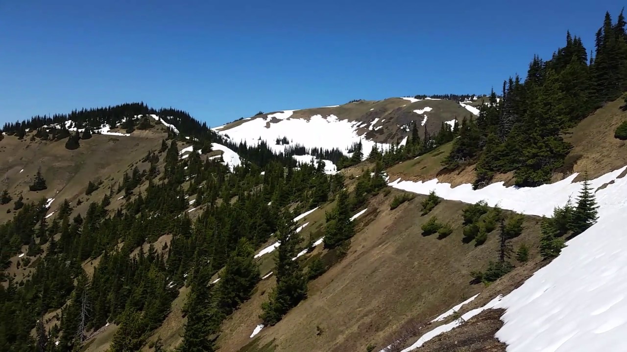 camera iphone 8 plus apk Incredible View of the Olympic Mountains from Hurricane Hill Ridge Trail in Olympic National Park
