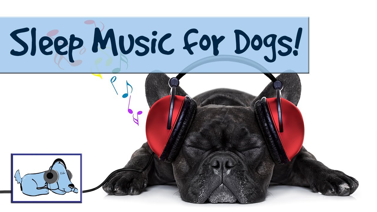 music made for dogs