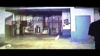 BONES - TheHandOfTheWitch (UNOFFICIAL VIDEO) WITH LYRICS