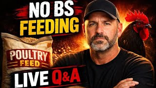 Download Lagu What to Feed, When to Feed, and Why | NO BS Feeding Q\u0026A MP3