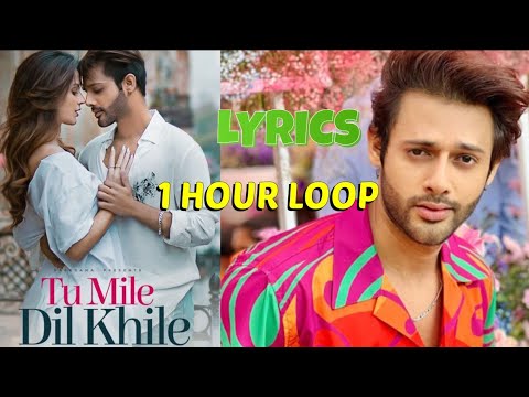 TUM MILE DIL KHILE  STEBIN BEN  1 HOUR LOOP  LYRICS