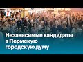 Презентация Пермской предвыборной коалиции. Независимые кандидаты в Пермскую городскую думу 2021