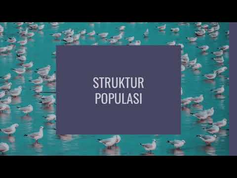 Video: Dinamik populasi - ciri, makna dan jenis