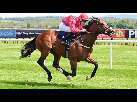 👀 She looks smart! MAKE HASTE is Royal Ascot bound after this stylish debut win