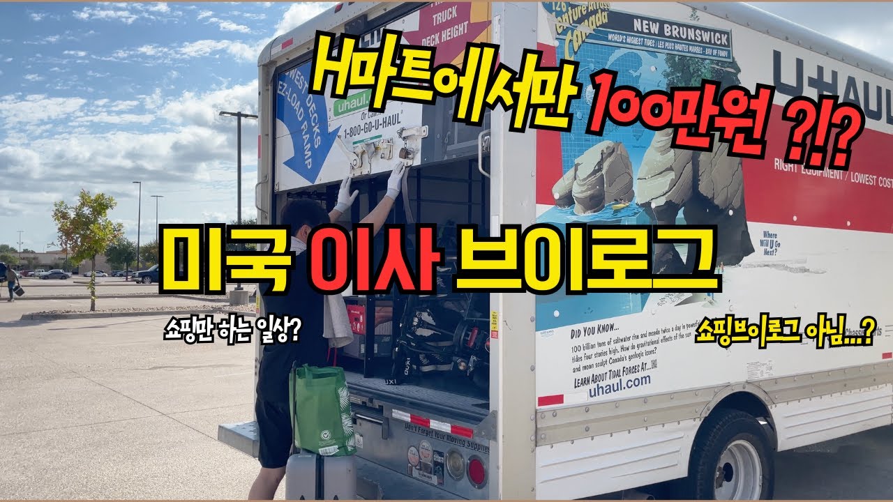 미국 일상ㅣ미국에서 이사하기ㅣ이케아 쇼핑ㅣH마트 쇼핑ㅣ 쇼핑하다 하루 다 가는 일상