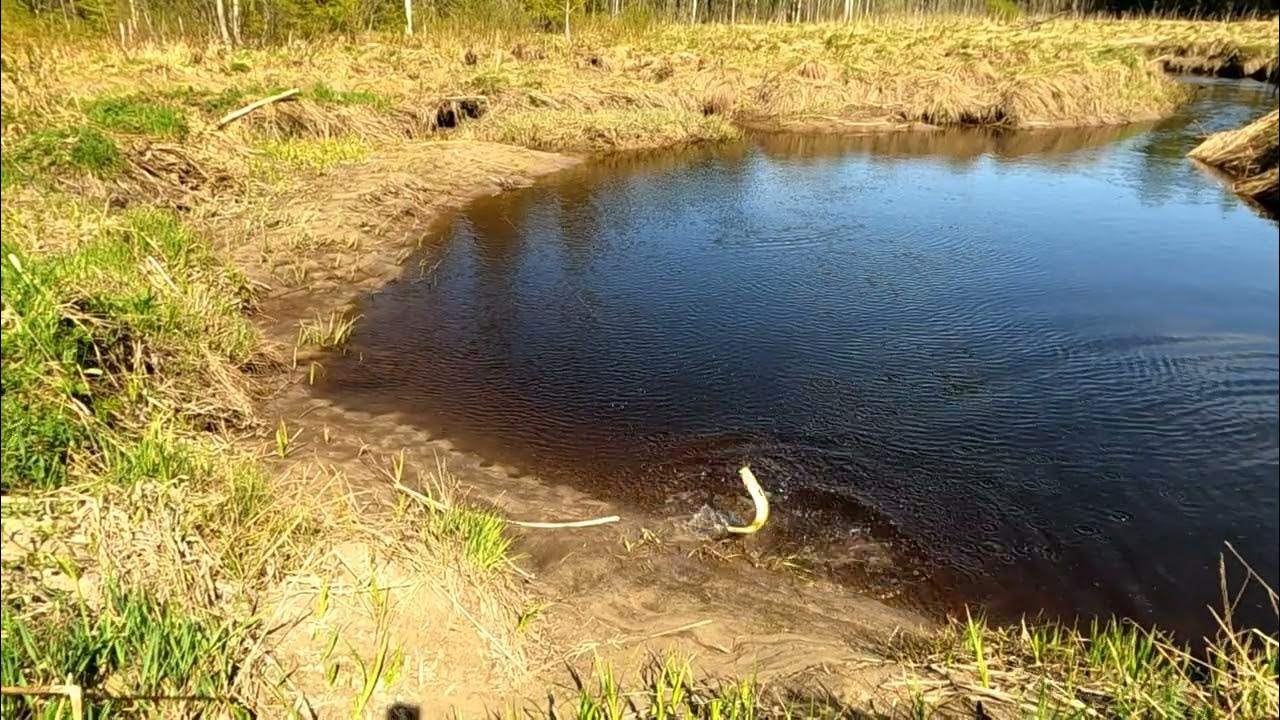 Тройное сальто