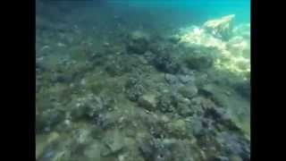 Three And A Half Days On The Island Of Vis