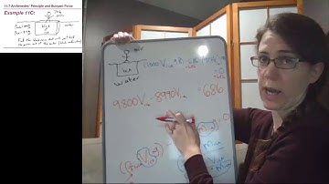 GRCC Physics 125 - Online Lecture - Example 11C