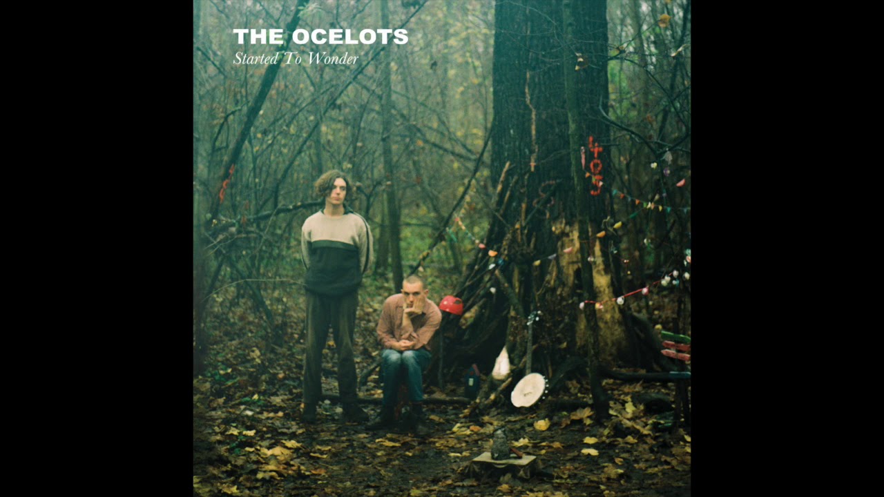 Watch The Ocelots - Gold (Lyrics in description) on YouTube Watch The Ocelots - Gold (Lyrics in description) on YouTube