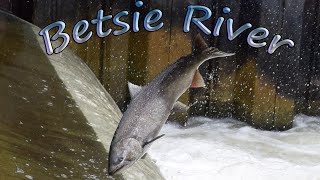 Salmon vs. Dam 🎥