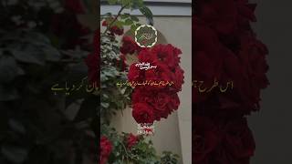 Surah hajj #quransurah #bayan #quranchapter #duet #unfrezzmyaccount #islamicsurah #answer #surahhajj