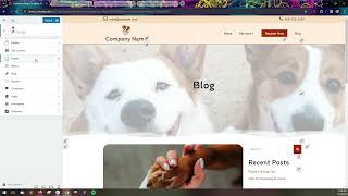 Crio Theme - Intro to the Customizer