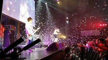 桜吹雪　cherry blossom blizzard