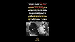 El Cerebro De Mussolini A La Venta En Internet El Final Más Macabro Del Fascismo