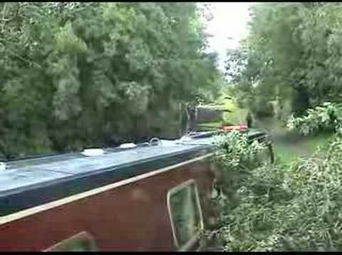 A WHODUNNIT - The morning after the night before when a tree fell on our narrowboat. On the Staffordshire & Worcestershire Canal between Filance Lock No 37 and Princefield Bridge No 85, Penkridge. If you think the cat did it press the "Red Button" to vote YES