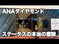【ANA修行】ANAダイヤモンドは必要か ダイヤモンドステータスの本当の価値は何か