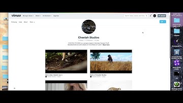How to delete a video on Vimeo