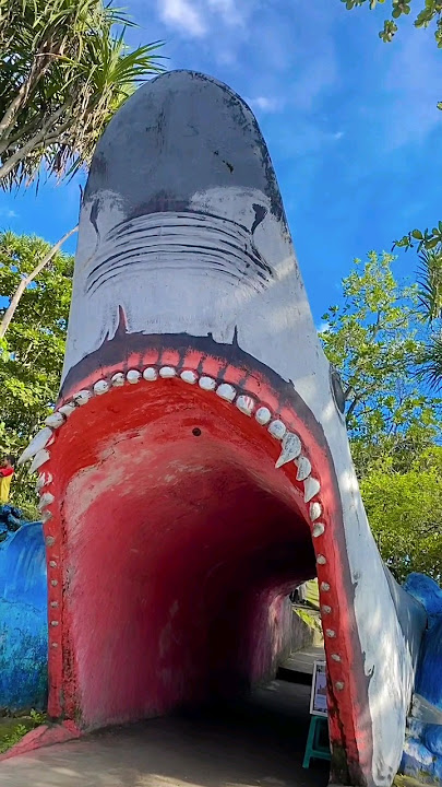 ENTER THE MOUTH OF A GIANT SHARK