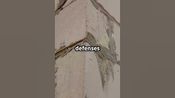 Fortify Your Software: SAST, SCA, & DAST Simplified 🛡️ #SecurityTesting #SoftwareSecurity #Easy