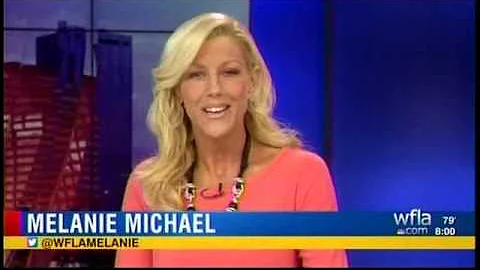 WFLA/WTTA NewsChannel 8 8PM Open (4/24/16)