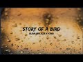 Alan Walker King Story Of A Bird Lyrics