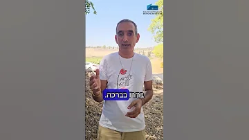שחרור החטופים אנחנו צריכים לבחור בין ברכה וקללה 