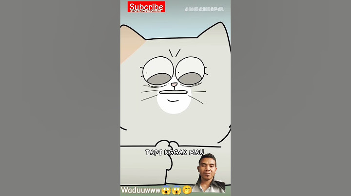 SEDIHNYA MENJADI KUCING BETINA!!!