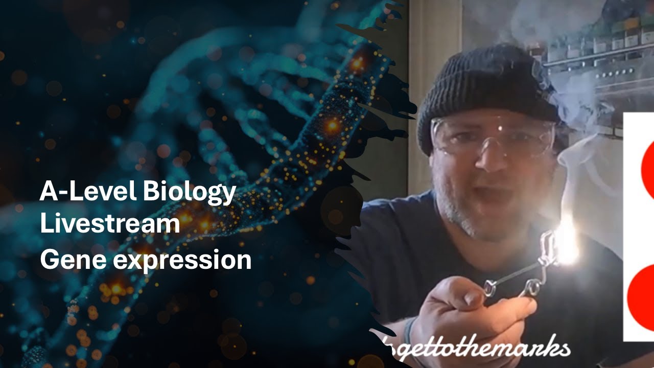 A-Level Biology Live stream Gene expression - YouTube