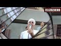 الشيخ اشرف ابوشريف تكالي على واحد كريم حنان 