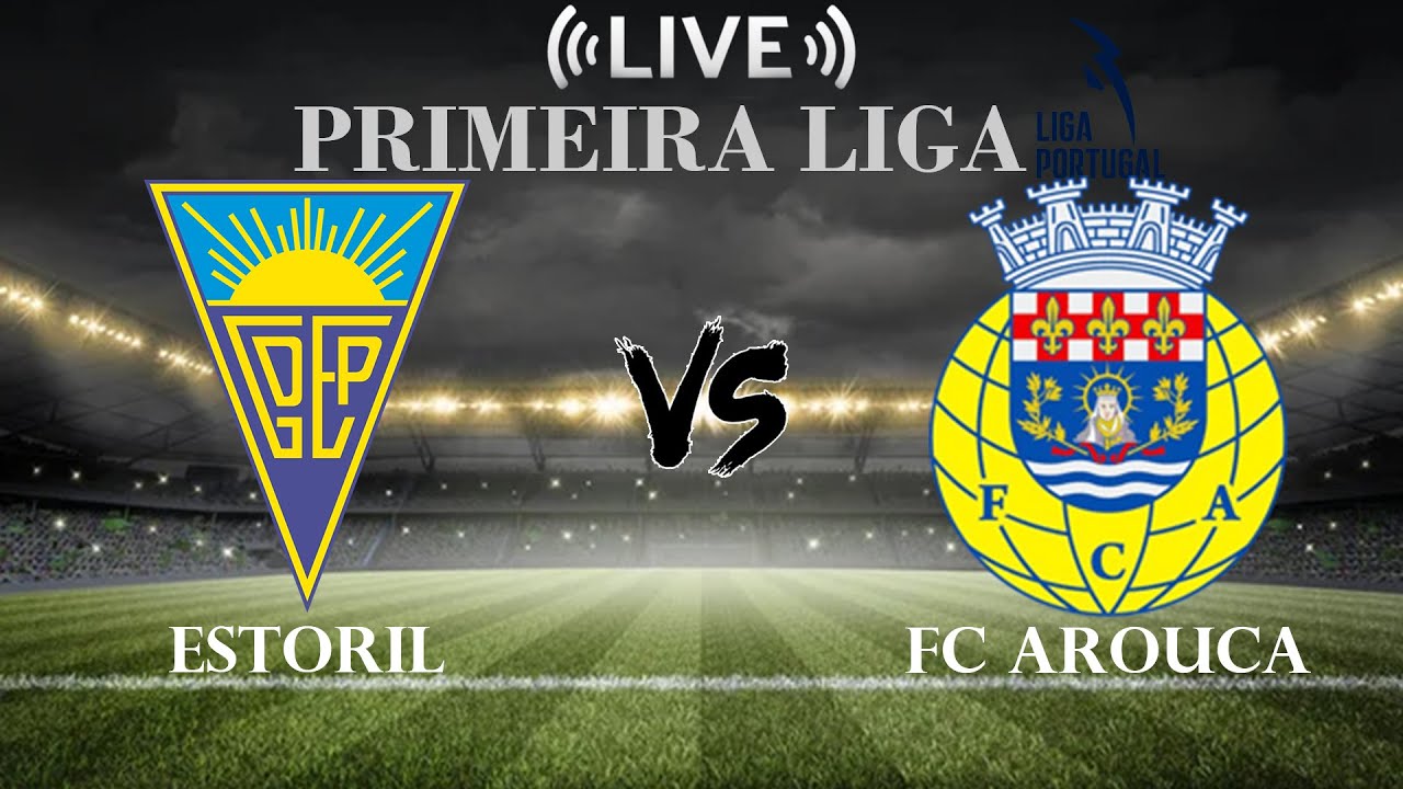 Fans cheering at Estádio António Coimbra da Mota