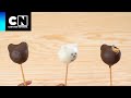 Hazlotoon | Paletas de Escandalosos | Cartoon Network