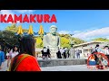 Kamakura Daibutsu - ဂျပန်နိုင်ငံ​၏အထင်ကရ ကမာကူရ(Kamakura)ဘုရားသို့သွားရောက်ဖူးမျှော်ခြင်း
